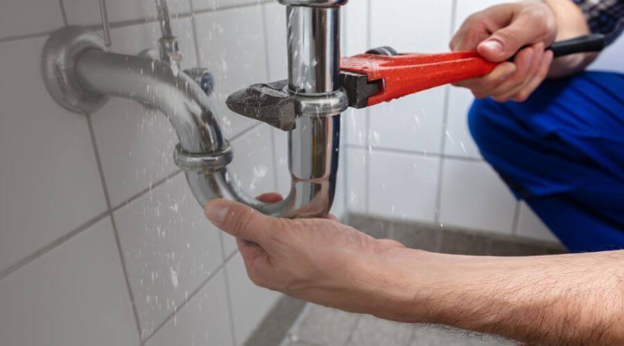 Professional Leak Detection services in Bremo Bluff, VA